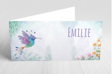 Kleurrijke kolibri Kleurrijke kolibri